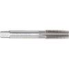 Taper Tap, M16 x 2mm, Straight Flute, Metric Coarse, High Speed Steel, Bright thumbnail-0