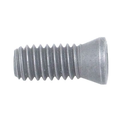 DS3.0 x 8.2 (T9) INSERT SCREW