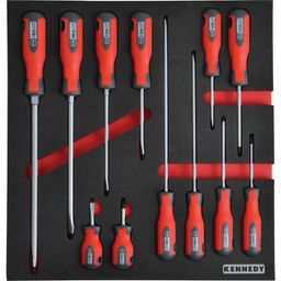 12 Piece Pro-Torq Screwdriver Sets in Tool Control 2/3 Width Foam Inlay.
 thumbnail-0